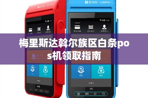 梅里斯达斡尔族区白条pos机领取指南