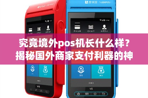 究竟境外pos机长什么样？揭秘国外商家支付利器的神秘面纱！