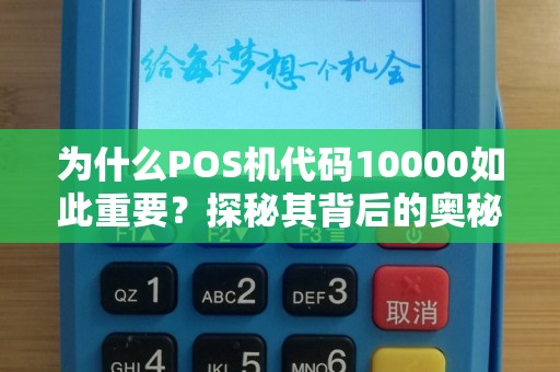 为什么POS机代码10000如此重要？探秘其背后的奥秘与作用！