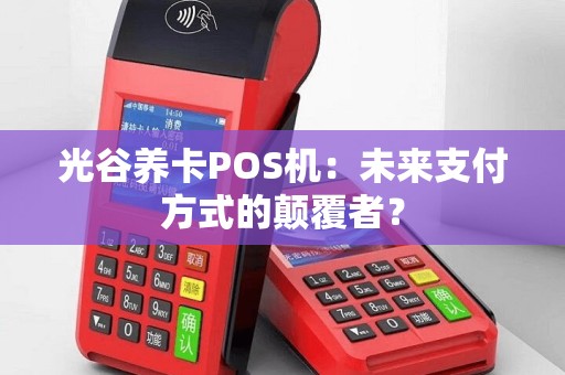 光谷养卡POS机：未来支付方式的颠覆者？