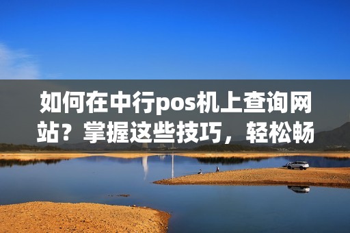 如何在中行pos机上查询网站？掌握这些技巧，轻松畅游互联网！