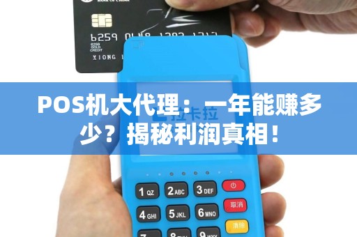 POS机大代理：一年能赚多少？揭秘利润真相！