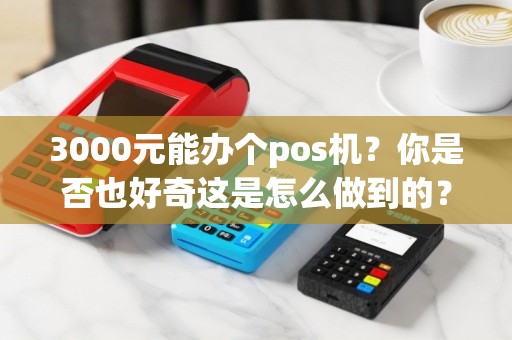 3000元能办个pos机？你是否也好奇这是怎么做到的？