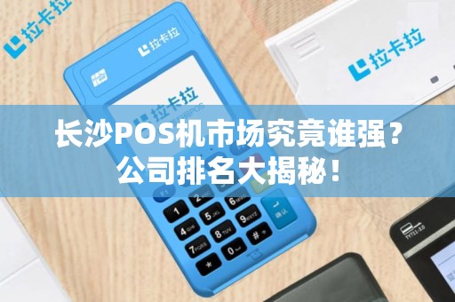 长沙POS机市场究竟谁强？公司排名大揭秘！