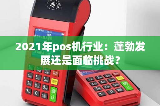 2021年pos机行业：蓬勃发展还是面临挑战？
