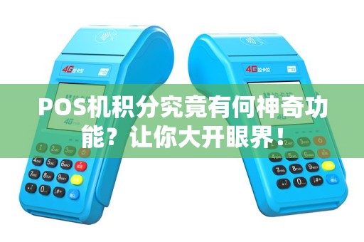 POS机积分究竟有何神奇功能？让你大开眼界！