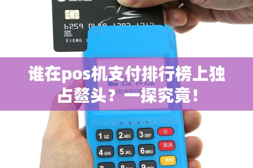 谁在pos机支付排行榜上独占鳌头？一探究竟！