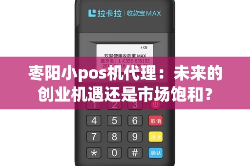枣阳小pos机代理：未来的创业机遇还是市场饱和？
