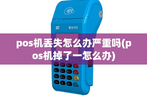 pos机丢失怎么办严重吗(pos机掉了一怎么办)