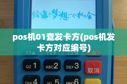 pos机01查发卡方(pos机发卡方对应编号)