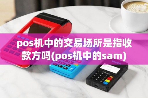 pos机中的交易场所是指收款方吗(pos机中的sam)