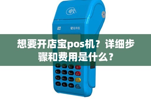 想要开店宝pos机？详细步骤和费用是什么？