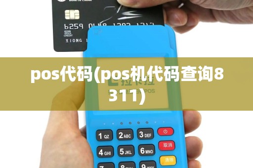 pos代码(pos机代码查询8311)