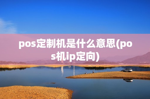 pos定制机是什么意思(pos机ip定向)