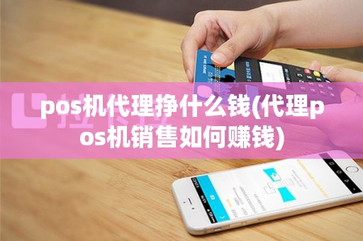 pos机代理挣什么钱(代理pos机销售如何赚钱)