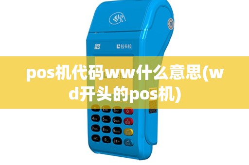 pos机代码ww什么意思(wd开头的pos机)