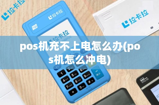 pos机充不上电怎么办(pos机怎么冲电)