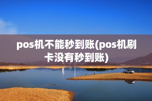 pos机不能秒到账(pos机刷卡没有秒到账)