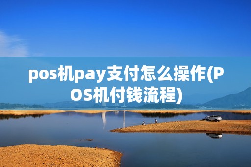 pos机pay支付怎么操作(POS机付钱流程)