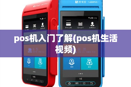 pos机入门了解(pos机生活视频)