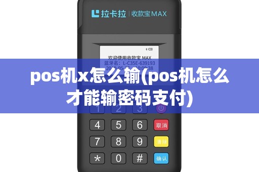 pos机x怎么输(pos机怎么才能输密码支付)