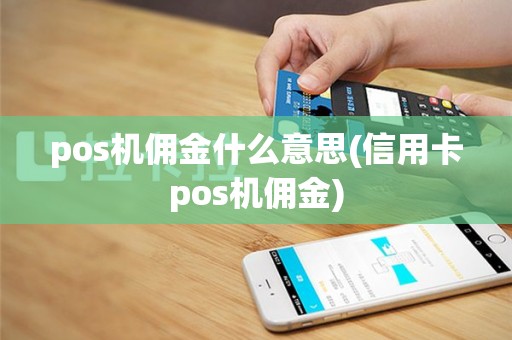 pos机佣金什么意思(信用卡pos机佣金)