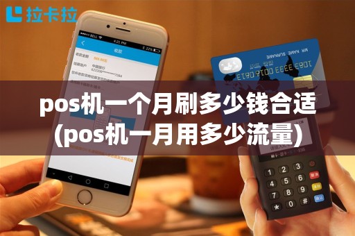 pos机一个月刷多少钱合适(pos机一月用多少流量)