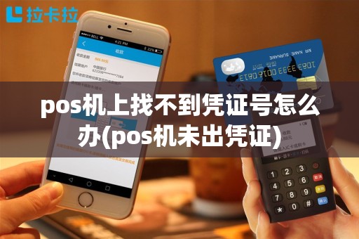 pos机上找不到凭证号怎么办(pos机未出凭证)