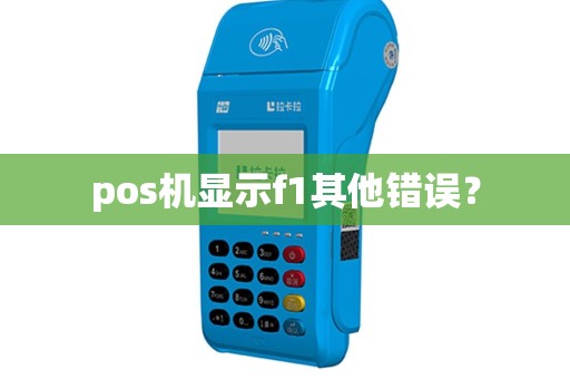 pos机显示f1其他错误？