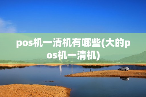 pos机一清机有哪些(大的pos机一清机)