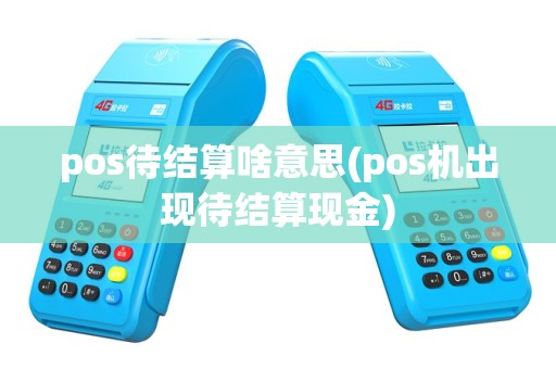 pos待结算啥意思(pos机出现待结算现金)