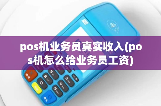 pos机业务员真实收入(pos机怎么给业务员工资)