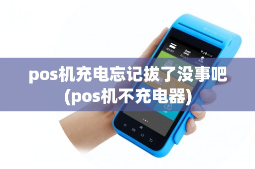 pos机充电忘记拔了没事吧(pos机不充电器)