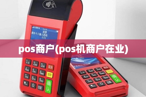 pos商户(pos机商户在业)