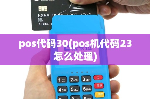 pos代码30(pos机代码23怎么处理)