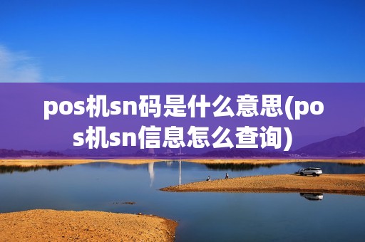 pos机sn码是什么意思(pos机sn信息怎么查询)