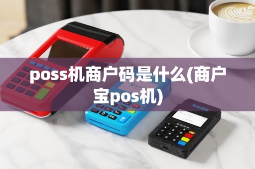 poss机商户码是什么(商户宝pos机)
