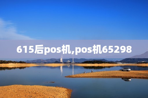 615后pos机,pos机65298