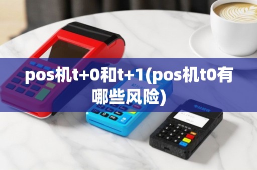 pos机t+0和t+1(pos机t0有哪些风险)