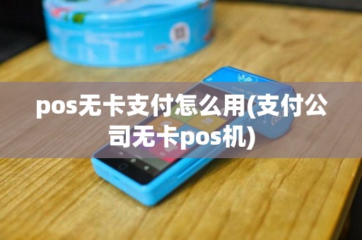 pos无卡支付怎么用(支付公司无卡pos机)