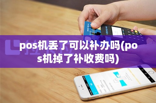 pos机丢了可以补办吗(pos机掉了补收费吗)