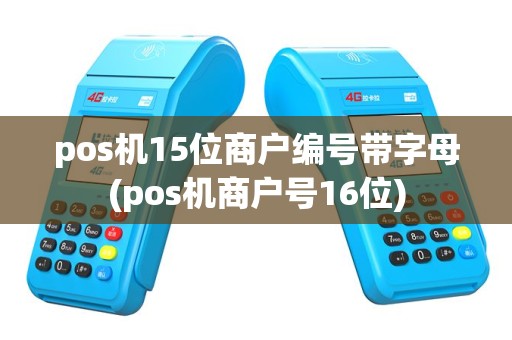 pos机15位商户编号带字母(pos机商户号16位)