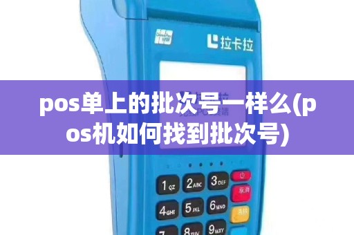 pos单上的批次号一样么(pos机如何找到批次号)