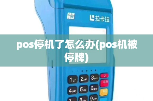 pos停机了怎么办(pos机被停牌)