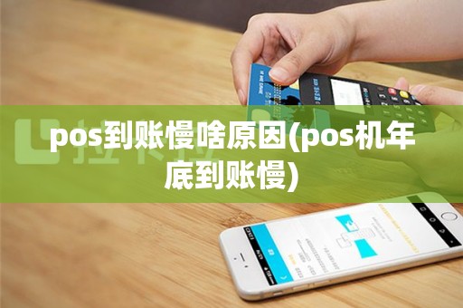 pos到账慢啥原因(pos机年底到账慢)