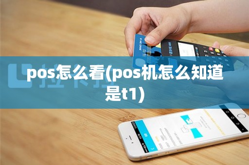 pos怎么看(pos机怎么知道是t1)