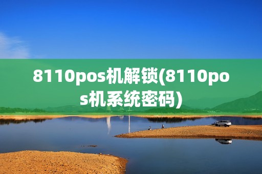 8110pos机解锁(8110pos机系统密码)
