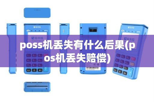 poss机丢失有什么后果(pos机丢失赔偿)