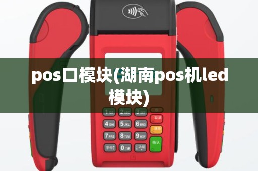 pos口模块(湖南pos机led模块)