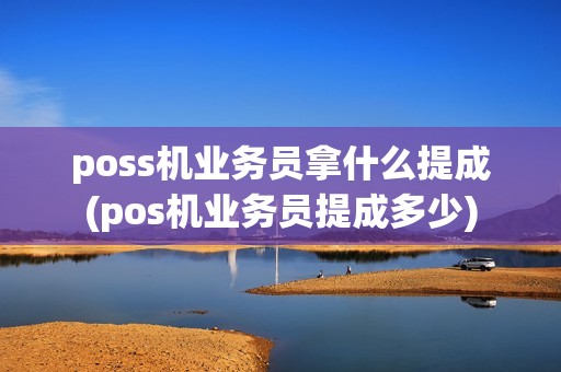 poss机业务员拿什么提成(pos机业务员提成多少)